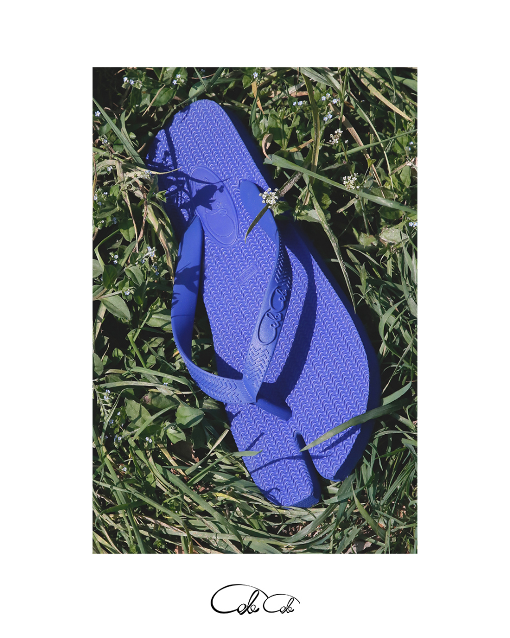 shoes blue color image-S6L50